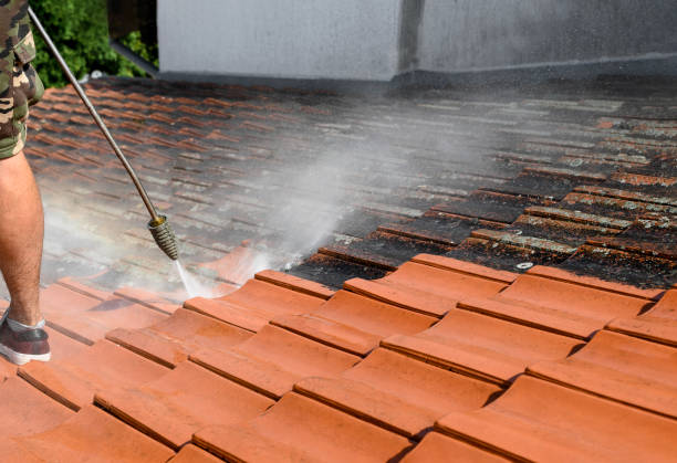 Best Commercial Building Pressure Washing  in Embreeville, TN