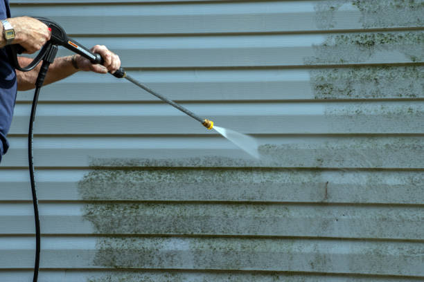 Best Roof Power Washing Services  in Embreeville, TN