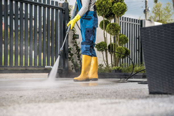 Best Roof Pressure Washing  in Embreeville, TN