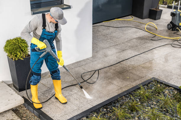 Best House Pressure Washing  in Embreeville, TN