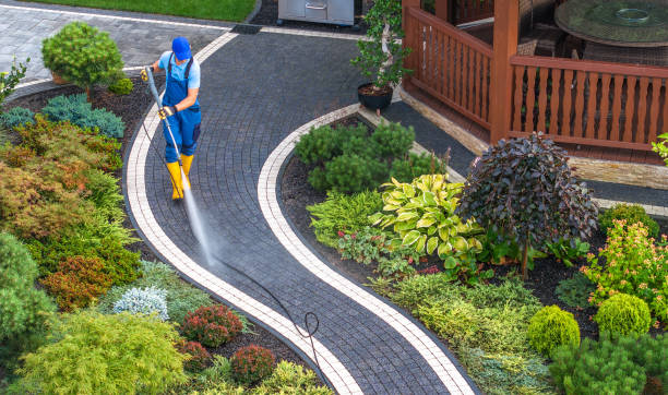 Best Roof Power Washing Services  in Embreeville, TN